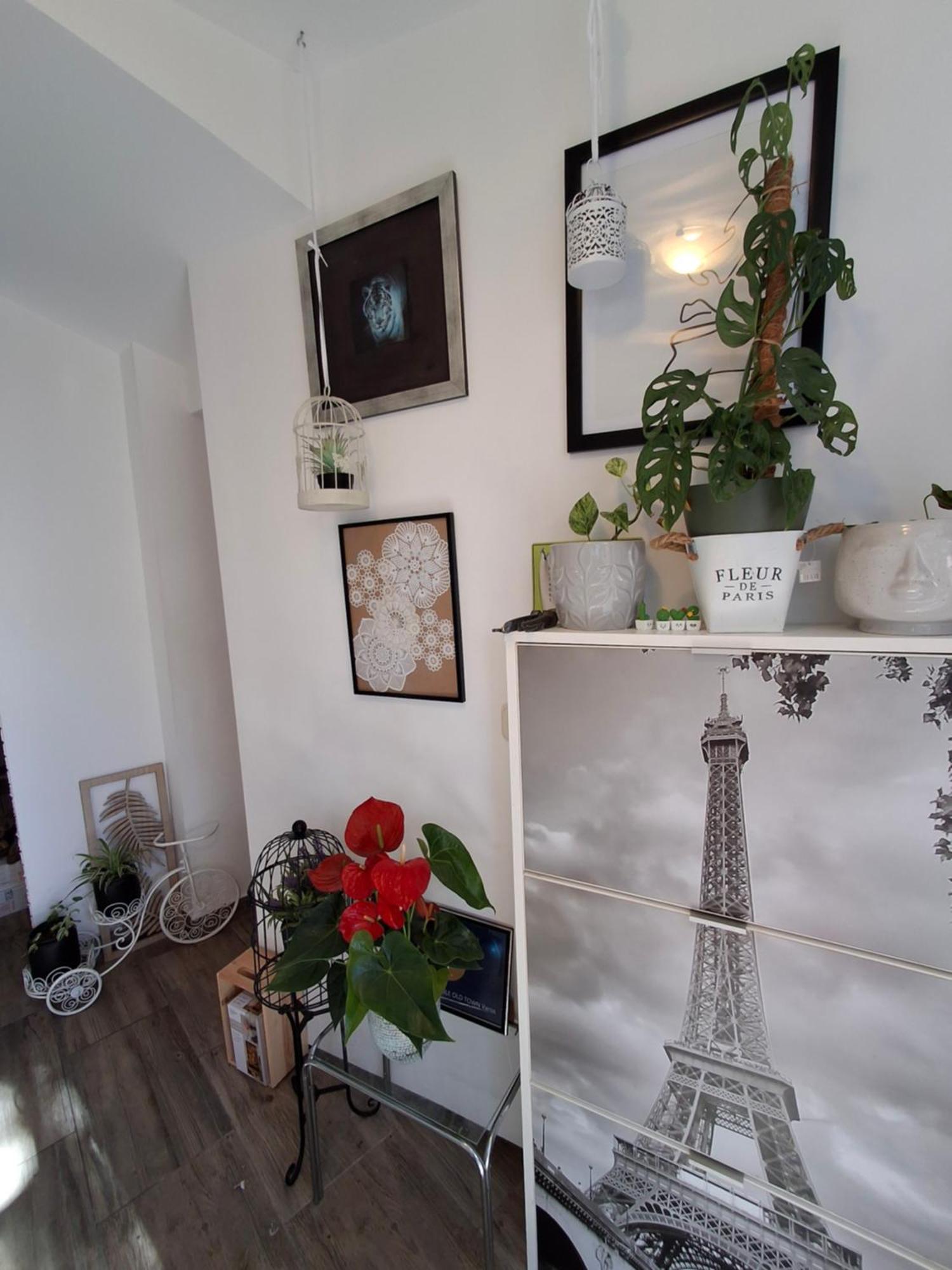 Apartmán Old Town Sole Split Exteriér fotografie